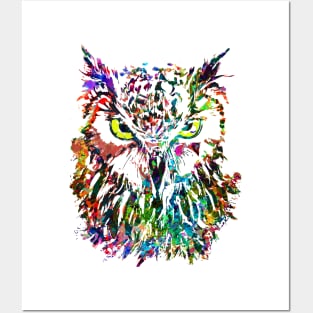 Colorful Owl - Owlet Beautiful Eyes Posters and Art